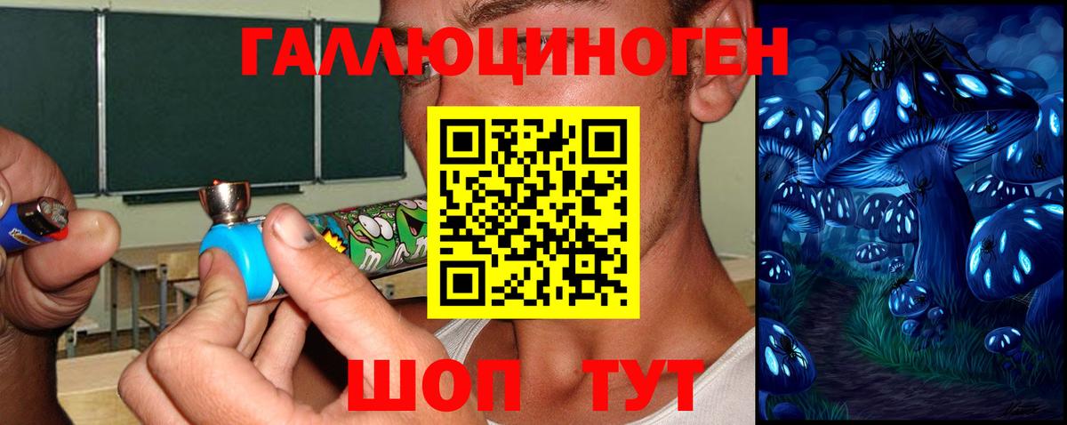 Галлюциногенные грибы Psilocybe Чехов