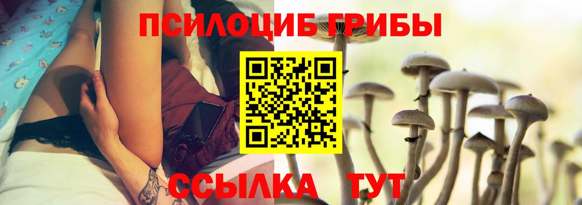 Псилоцибиновые грибы MAGIC MUSHROOMS  Вход с VPN  Чехов  Псилоцибиновые грибы MAGIC MUSHROOMS 